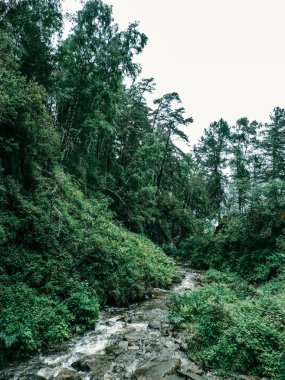 Dağ vadisi. Huzurlu yaz doğa arka plan. Sonbaharda vahşi nehir kayalar.