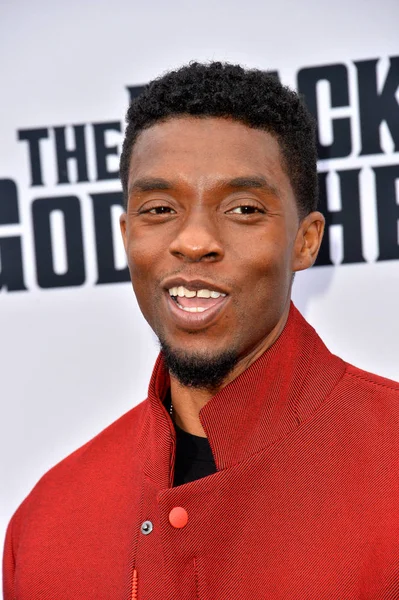 Chadwick Boseman — Foto de Stock