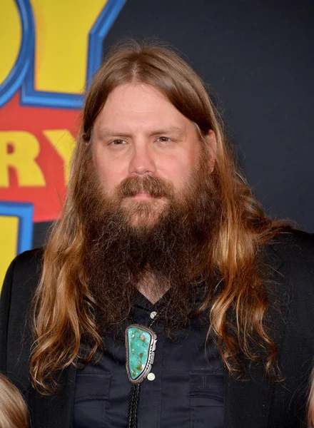 Chris Stapleton. — Foto de Stock