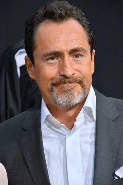 Demian Bichir