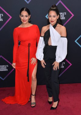 Brie Bella & Nikki Bella