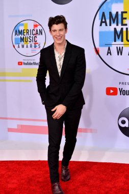 Shawn Mendes