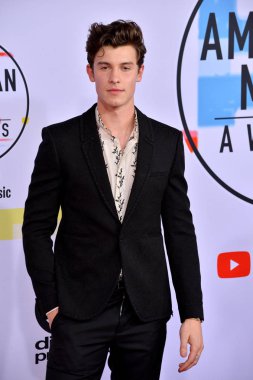 Shawn Mendes