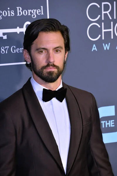 Milo Ventimiglia — Stock Photo, Image