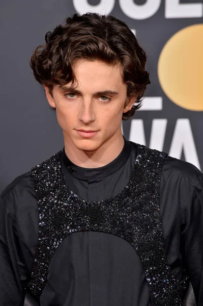 Timothee Chalamet