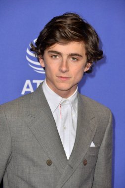 Timothee Chalamet 