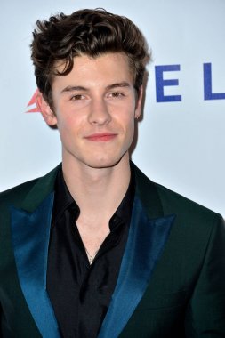 Shawn Mendes