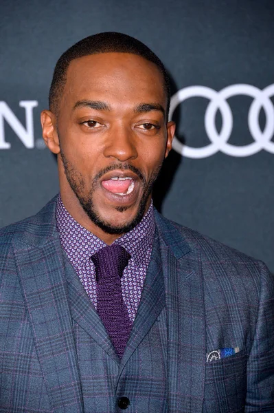 Anthony Mackie — Stock Fotó