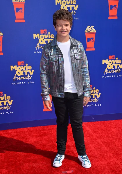 Gaten Matarazzo — Stock fotografie