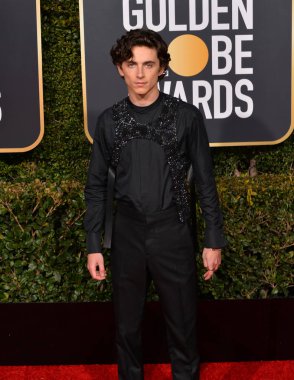 Timothee Chalamet