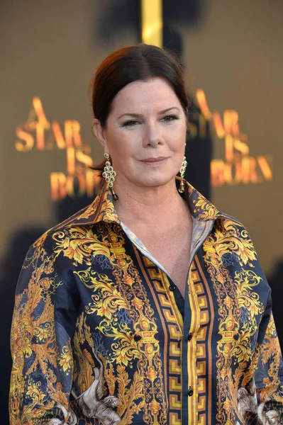 Marcia Gay Harden — Stock Photo, Image