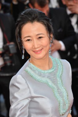 Zhao Tao