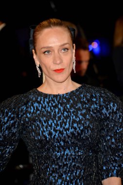 Chloe Sevigny