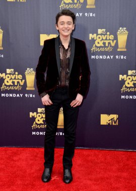 Stranger Things yıldızı Noah Schnapp