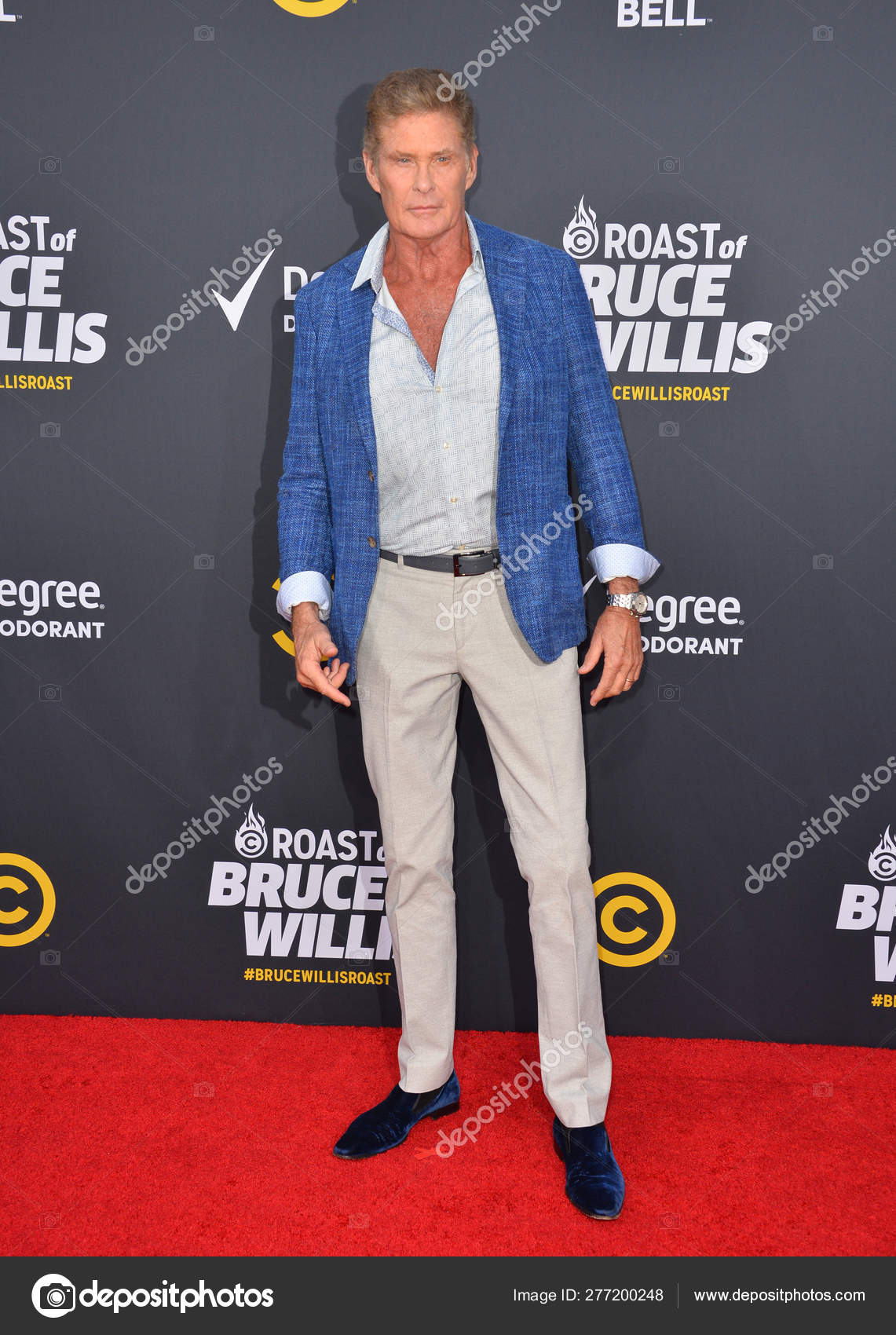 デビッド ハッセルホフ写真素材 ロイヤリティフリーデビッド ハッセルホフ画像 Depositphotos デビッド ハッセルホフ写真素材 ロイヤリティフリーデビッド ハッセルホフ画像 Depositphotos