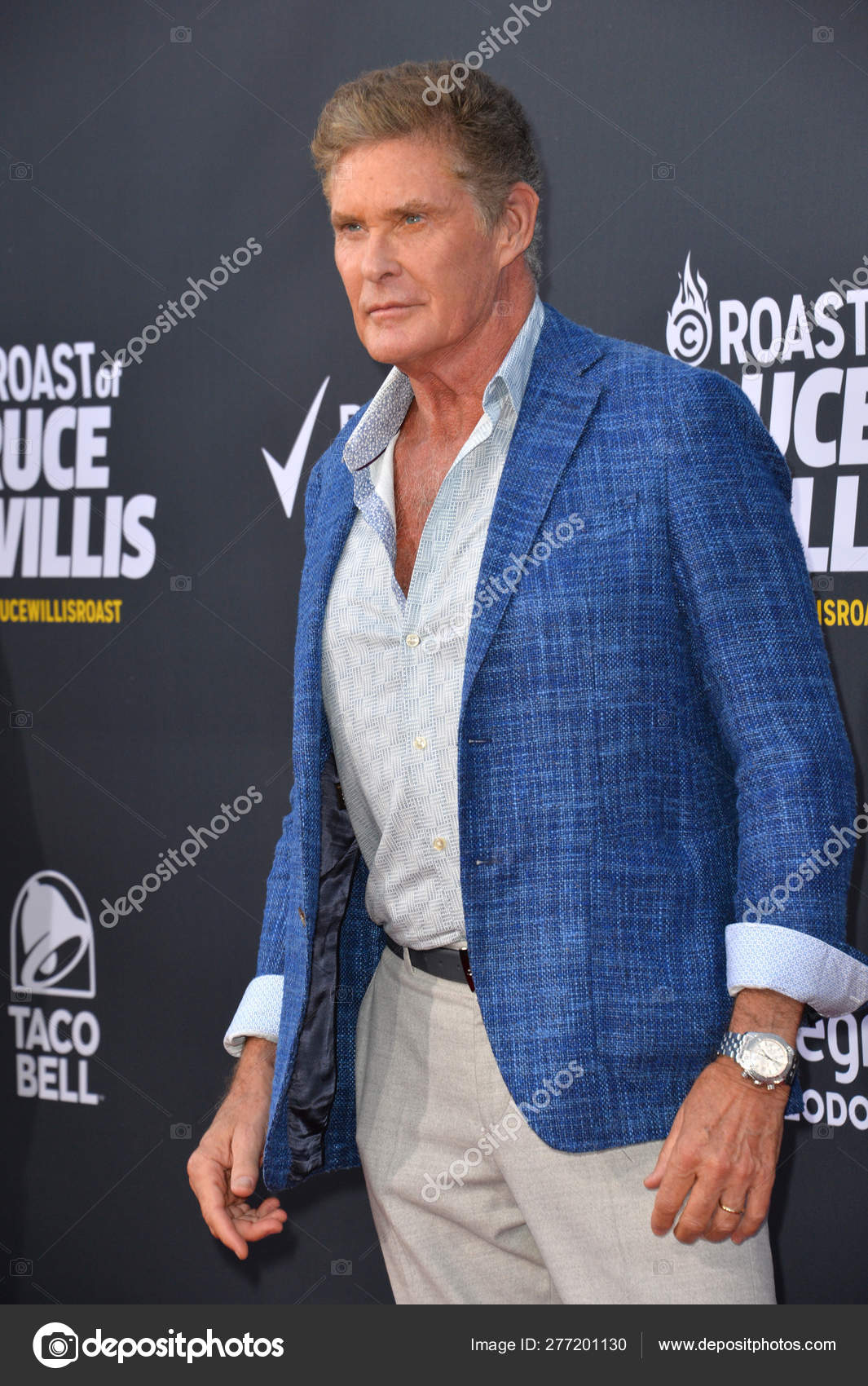 デビッド ハッセルホフ写真素材 ロイヤリティフリーデビッド ハッセルホフ画像 Depositphotos デビッド ハッセルホフ写真素材 ロイヤリティフリーデビッド ハッセルホフ画像 Depositphotos