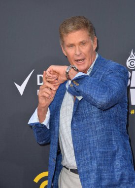 David Hasselhoff