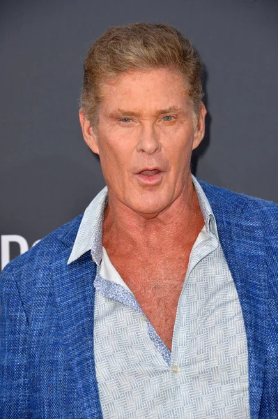 David Hasselhoff