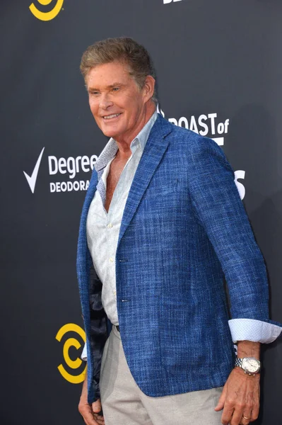 David Hasselhoff