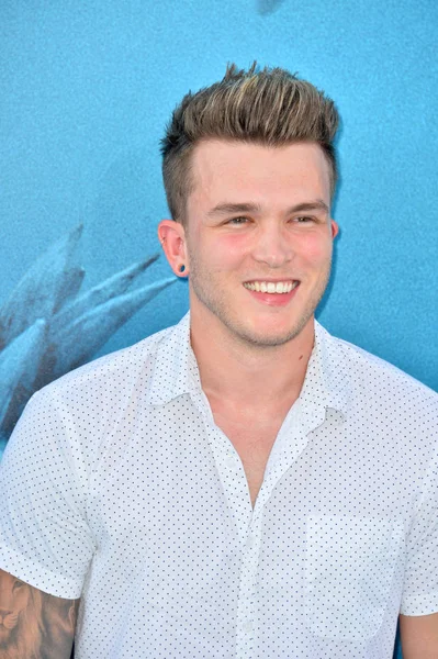 Josh Devine — Stock fotografie