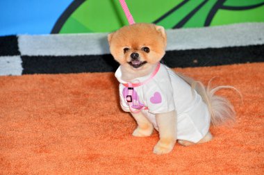 Jiffpom