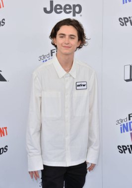 Timothee Chalamet
