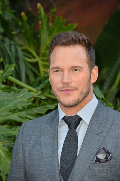 Chris Pratt. — Foto de Stock