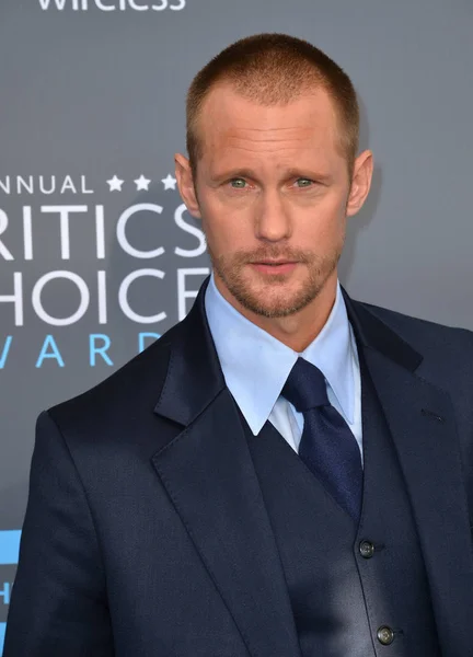 Alexander Skarsgard — Foto de Stock