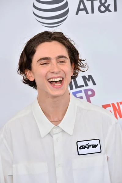 Chalamet timothee — Foto Stock