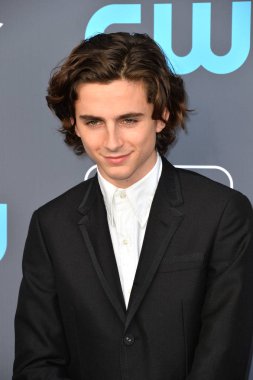 Timothee Chalamet