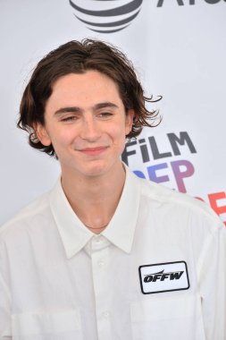 Timothee Chalamet