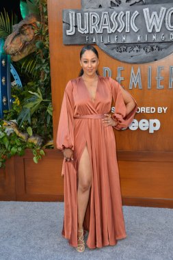 Tamer mowry