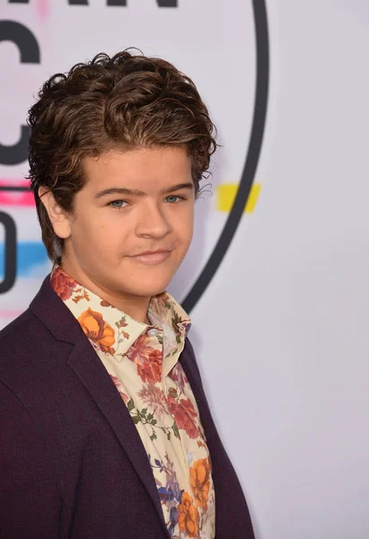 Gaten Matarazzo — Stock fotografie