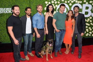 Seal Takım Oyuncuları