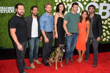 Seal Takım Oyuncuları