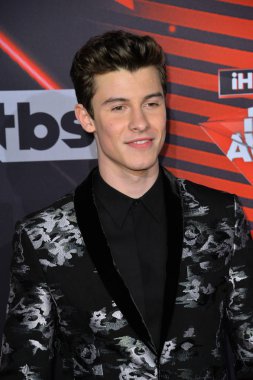 Shawn Mendes