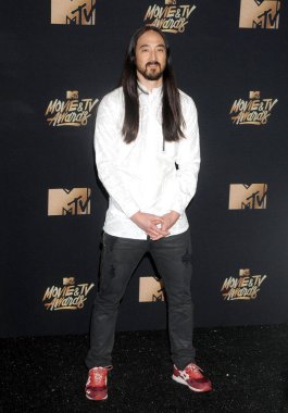 Steve Aoki