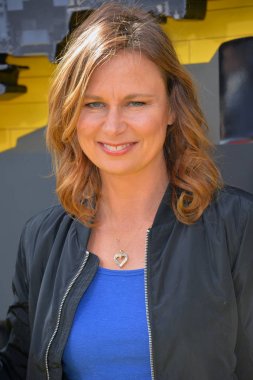 Mary lynn rajskub