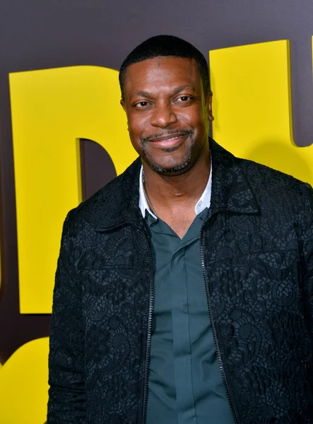 Chris Tucker. — Foto de Stock