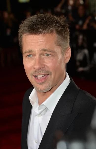 Brad Pitt. — Foto de Stock