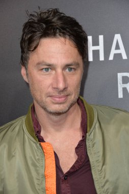 Zach Braff