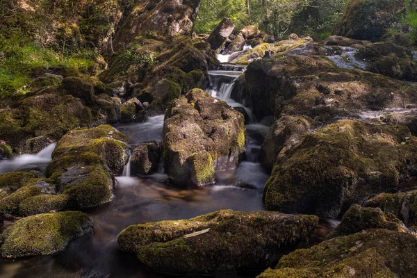 Ein Kleiner Fluss Fließt Über Felsen Glengarriff Wälder Reserve Irland — Stockfoto