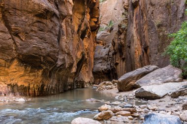 İnanılmaz Zion Milli Parkı, Virgin Nehri Narrows akan