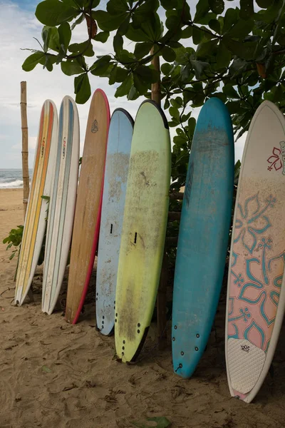 Una fila de tablas largas de surf multicolores alineadas para alquilar en una playa en Puerto Viejo de Talamanca en Costa Rica —  Fotos de Stock