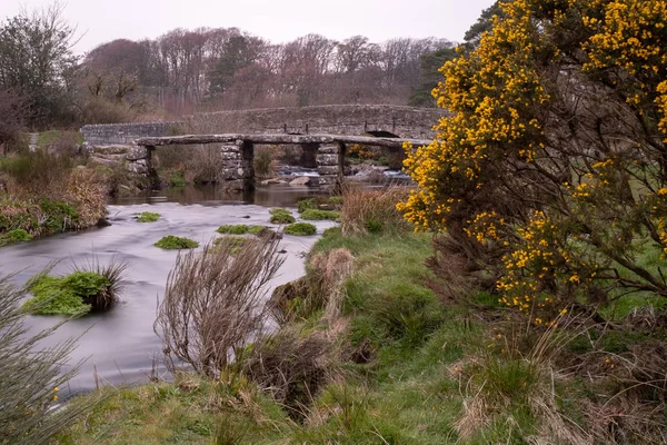 Duas pontes no arbusto do rio Dart gorse — Fotografia de Stock