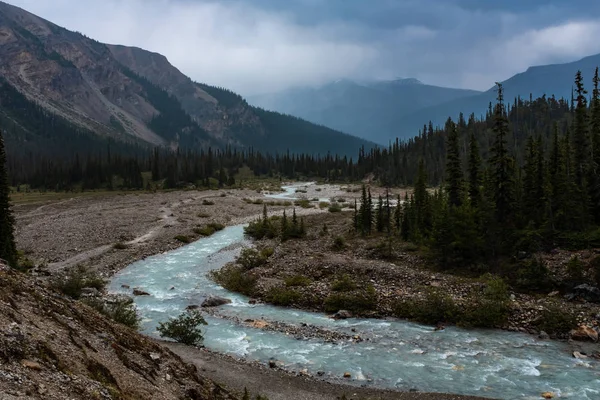 Το δραματικό τόξο του ποταμού που περνά μέσα από την κοιλάδα του τόξου, το πάρκο icefield, τον Καναδά, το γαλακτώδη νερό που έχει χρωματιστεί από το τρέξιμο του παγετώνα — Φωτογραφία Αρχείου