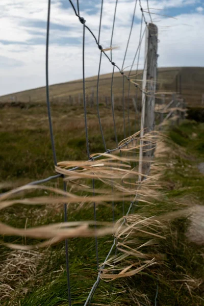 Stränge aus trockenem Gras und Stroh, die an einem Drahtzaun hängen, der bei starkem Wind weht und die Stränge verschwimmen lässt — Stockfoto