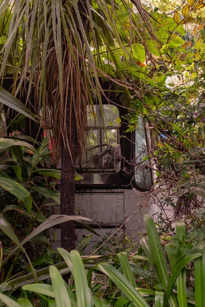 Un autobús oxidado abandonado en medio del arbusto en Nueva Zelanda, el arbusto ensanchando el autobús — Foto de Stock