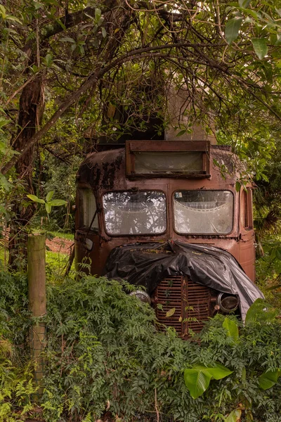 Een verlaten roesten truck in het midden van de Bush in Nieuw-Zeeland, de Bush overgroei de truck — Stockfoto