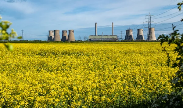 Landscape view of cooling towers of a coal fuelled power station in the foreground is a bright yellow field of blooming rape seed. Stock Photo